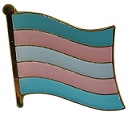 pin bandeira trans movimento